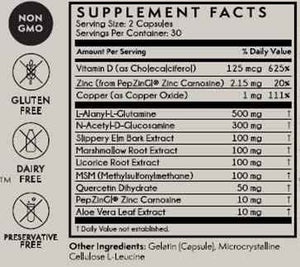 TERRA ORIGIN Healthy Gut with Vitamin D 5000 IU - 60 Capsules - Gut Health Supplements for Men and Women - Supports Digestion and Gas