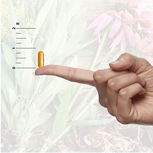 Nature's Answer Pueraria Mirifica 150mg Support Blend 60-Capsules | Multi-Symptom Menopause Support