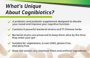 BIOptimizers The Ultimate Gut Health Stack - Chocolate, Promotes and Levels Gut Health