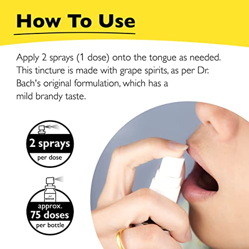 Day & Night Bundle, Bach RESCUE REMEDY Spray, Natural Stress Relief [and] RESCUE SLEEP Spray