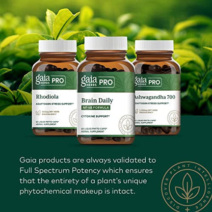 Gaia Herbs Pro Female Hormone Support - Menopause Supplement for Women - with Vitex