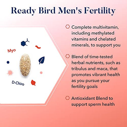 Men's Fertility Bundle