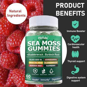 Creatine Monohydrate Gummies 5000mg + Irish Sea Moss 3000mg Gummies - Support for Muscles, Immune, Thyroid & Wellbeing - Vegan, Sugar Free, 2-Pack Supplement Bundle