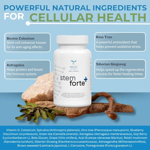 NuVi Global Stemforte Plus Stem Cell and Telomere Supplements – Cell Regeneration, Cell Growth & Telomere Support for Healthy Aging & Cellular Health – 90 Capsules for Men & Women NuVi Global buy supplements Au