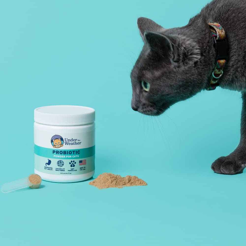 Under The Weather Pet Probiotic Chews for Cats - Promotes Normal Digestion, Balances Healthy Gut Health - 60 Star Shaped Soft Chews