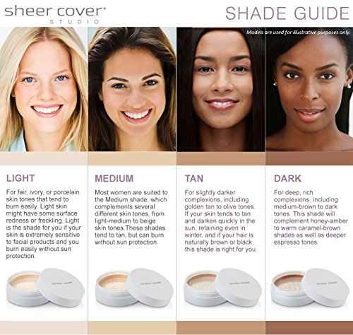 Sheer Cover Studio – Conceal and Brighten Highlight Trio – Two-Toned Concealers – Shimmering Highlighter – Light/Medium Shade – With FREE Concealer Brush – 3 Grams Sheer CoverBuy Supplements Australia