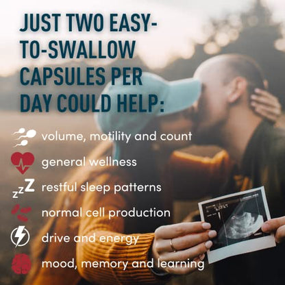 Fertility Supplements For Men Prenatal Vitamins - Conception For Him Male Fertility Vitamin