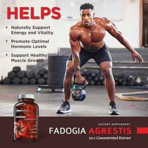 OmniBiotics Fadogia Agrestis + Magnesium