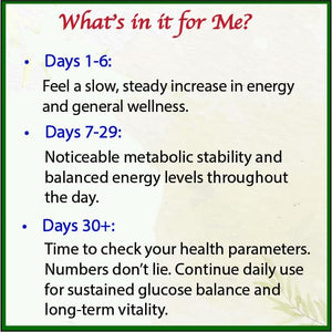 Bodymune USDA Organic Blood Sugar Blend | Supports Healthy Metabolism* | with Bitter Melon, Moringa, Aloe Vera, Nopal, Papaya Extracts & More | 60-Day Supply | Vegan & Non-GMO | USA-Made BodymuneBuy Supplements Australia