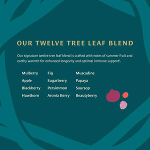 Healing Leaves, Longevity Blend Tea Bags- 30 Count - Biblically Inspired, 12 Fruit Tree Leaf Blend. Supports Digestion, Immune Function, Healthy Inflammation Response and Energy
