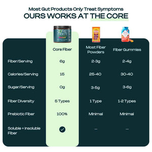 Prebiotic Fiber Supplement for Women & Men - 6g Prebiotic Fiber Powder - Daily Blend for Gut Health, Bloating, Regular Digestion & Energy - Soluble & Insoluble