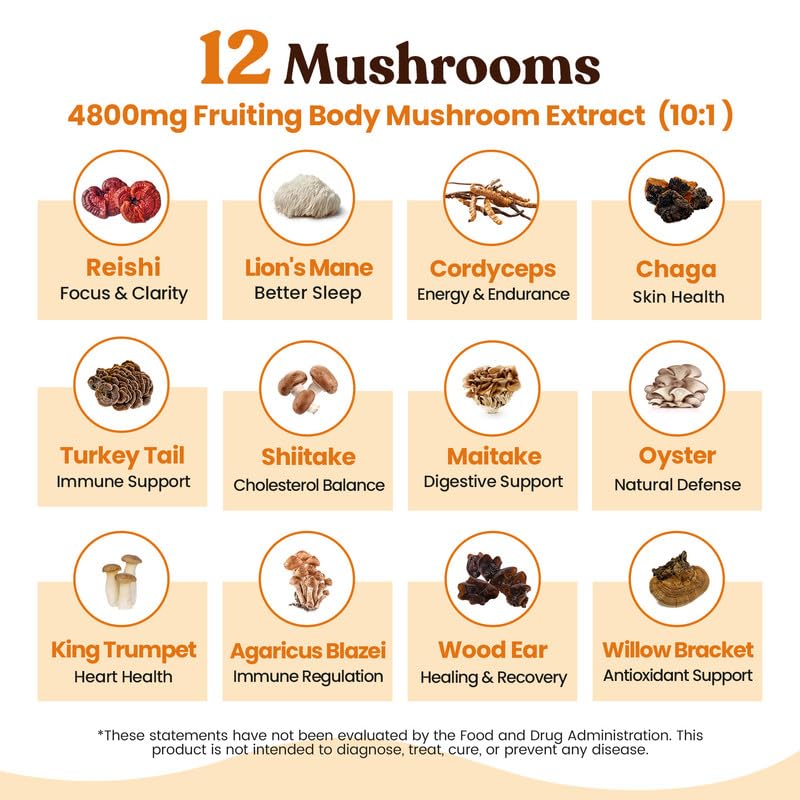 Venture Pal Mushroom Coffee, 12 Mushrooms, Focus & Digestion, 40 Servings - 12 Adaptogenic Mushrooms with Lion's Mane, Cordyceps, Reishi, Turkey Tail, Ashwagandha & Probiotics, Low Caffeine & Calories