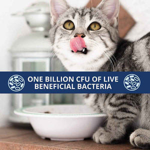 Under The Weather Pet Probiotic Chews for Cats - Promotes Normal Digestion, Balances Healthy Gut Health - 60 Star Shaped Soft Chews