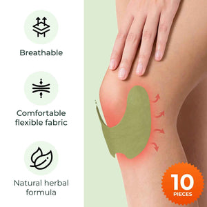 Wellnee Knee Support & Pain Relief Bundle - Herbal Knee Patch + Compression Knee Brace with Silicone Padding - Natural Joint Comfort, Stability & Recovery Support for Daily Use, Sports & Walking