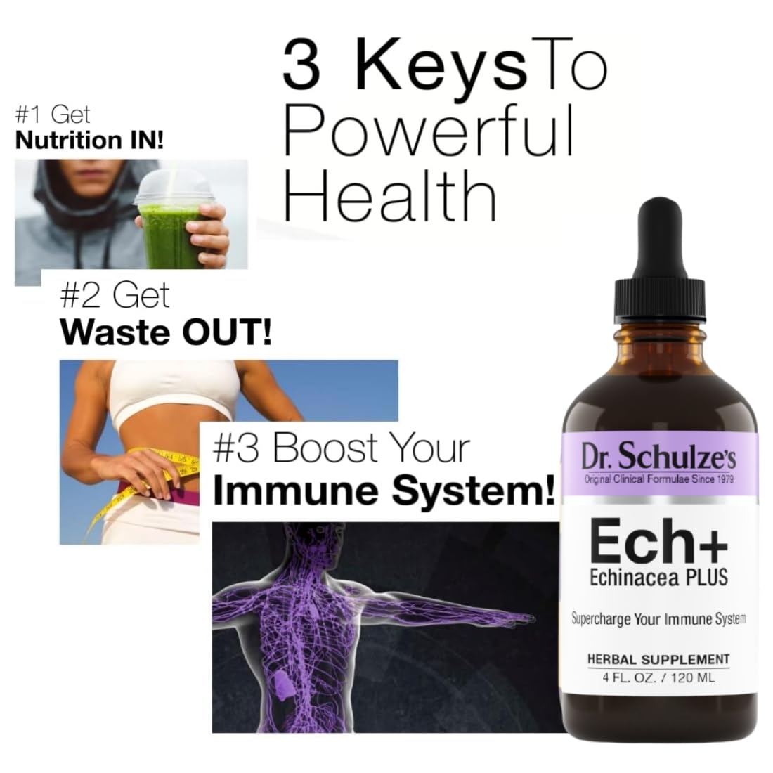 Dr. Schulze's Echinacea Plus | Echinacea Root and Seed | All Organic Extract | Gluten-Free