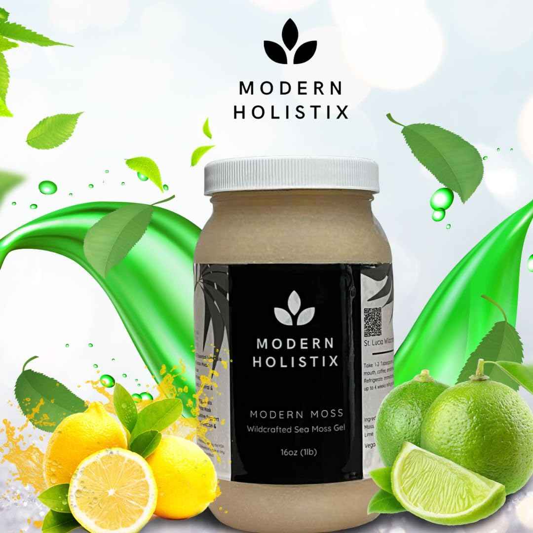 Modern Holistix Original Sea Moss Gel - 32oz Jar - Wildcrafted - All-Natural Superfood for Immunity, Energy & Gut Health