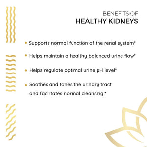 Kerala Ayurveda Healthy Kidney Herbal Tablets | Support Normal Kidney Function and Health | Kidney and Bladder Support | Urinary System Support - 90 Count Kerala AyurvedaBuy Supplements Australia