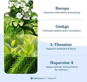 LifeSeasons Focus-R Concentration Support - Memory, Focus & Mental Clarity Supplement with Bacopa, Rhodiola, L-Tyrosine & B Vitamins - Cognitive Performance & Brain Energy - 60 Veg Capsules