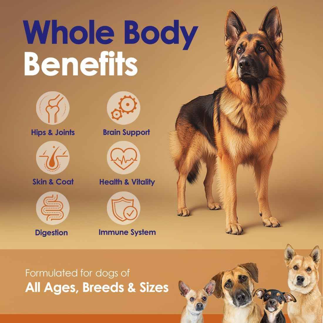Grass-Fed Beef Bone Broth Powder for Dogs - Rich in Protein & Collagen, Enhanced with Mushroom Blend for Strong Bones, Joint Flexibility, Digestive Comfort & Immune Support - Made in USA - 4.2oz