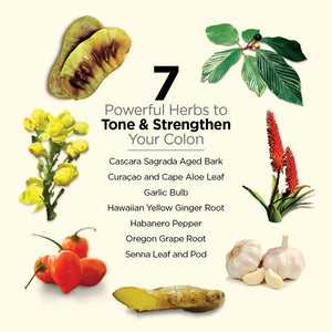 Dr. Schulze's 5-Day Bowel Detox - 5Day Cleanse Kit for a Gentle Bowel Reset - Supports Gut Health, Bloating & Easy Elimination - Natural, Clean Ingredients - Gluten-Free & Vegan Dr. Schulze'sBuy Supplements Australia