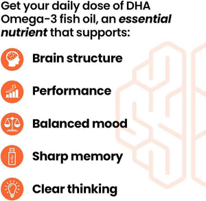 LifeSeasons NeuroQ Memory DHA-400 - Omega-3 Fish Oil Supplement - Mental Performance & Balance - Supports Neuro Brain Health - Protects Against Memory Loss & Improves Focus - 120 Softgels