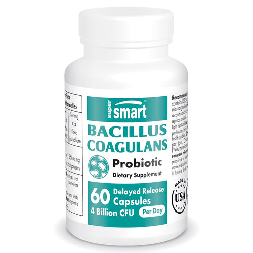 Supersmart - Bacillus Coagulans Probiotic 4 Billion CFU per Day (High Absorption) 