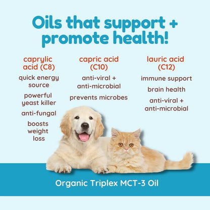 CocoTherapy Triplex MCT-3 Oil, Non-GMO, 100% Pure and Natural, 16 oz.