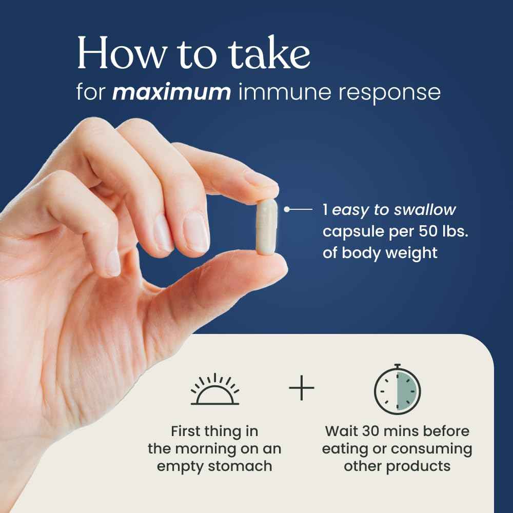 Better Way Health - Advanced Immune Readiness - Highly Purified 1,3/1,6 Beta Glucan 500 - Clinically Tested Immune Defense - 500mg/60 Capsules (Pack of 1)