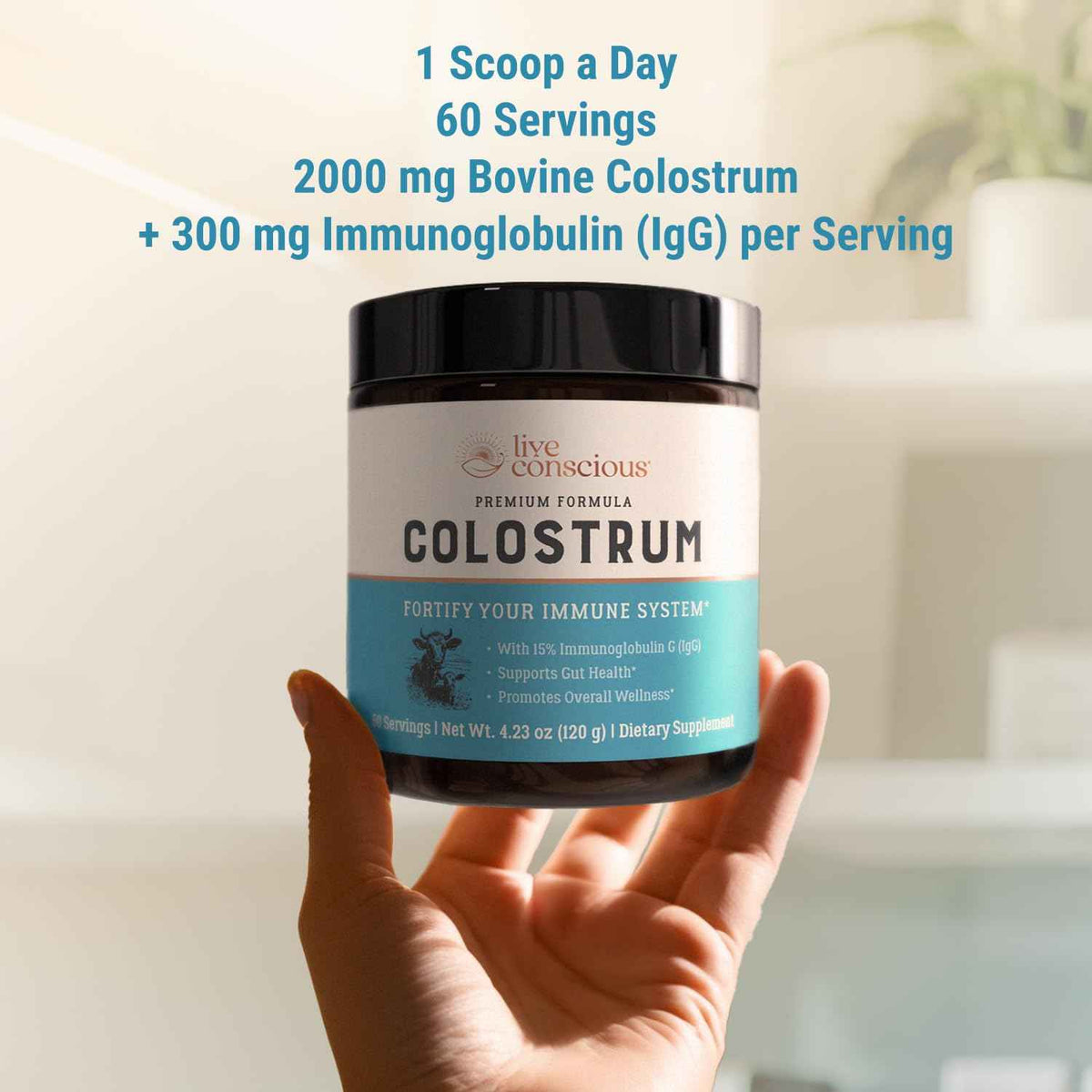 Live Conscious Colostrum Powder - Grass Fed Colostrum Supplement with Lactoferrin for Iron Absorption - Bovine Colostrum an Immune System Supplement