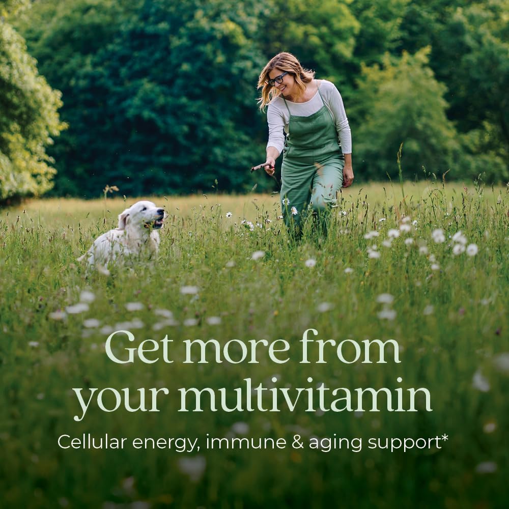 New Chapter Every Woman’s One Daily 40+ - Multivitamin for Women - Supports Immune, Bone, Hormone & Cellular Energy Health* - Non-GMO, Gluten Free, Dairy Free, Vegetarian & Kosher - 72 Tablets