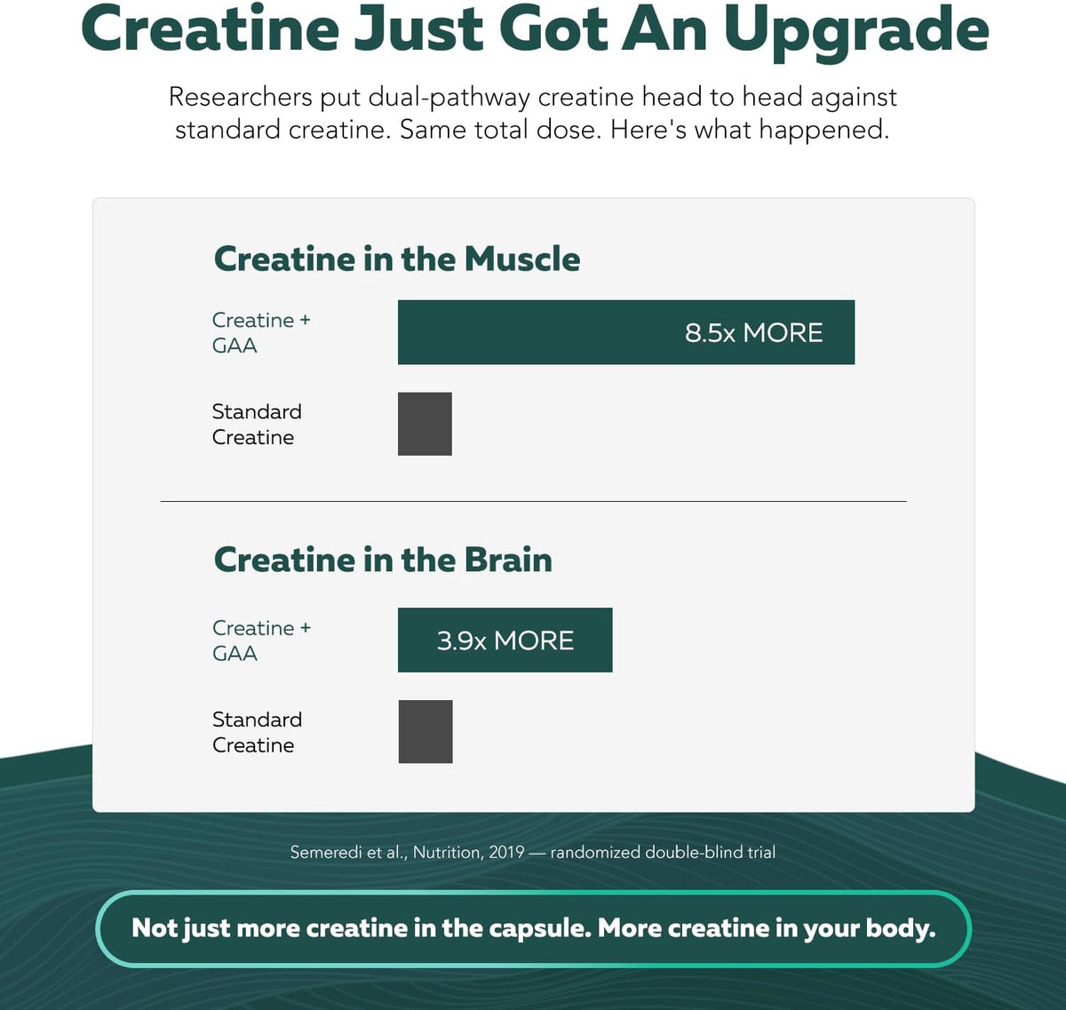 Creatine Reserve - Creatine Monohydrate Plus GAA for Mind, Muscle & Energy Support - Dual Pathway Delivery Creatine Supplement for Women & Men - Active B Vitamins & Taurine, Non-GMO (1 month supply)