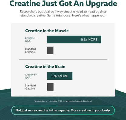Creatine Reserve - Creatine Monohydrate Plus GAA for Mind, Muscle & Energy Support - Dual Pathway Delivery Creatine Supplement for Women & Men - Active B Vitamins & Taurine, Non-GMO (1 month supply)