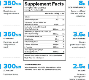 LEGION Pulse Pre Workout Supplement - All Natural Nitric Oxide Preworkout Drink to Boost Energy, Creatine Free, Naturally Sweetened, Beta Alanine, Citrulline, Alpha GPC (Fruit Punch & Blue Raspberry)