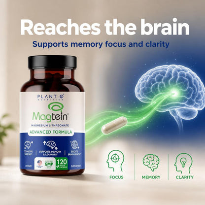 Magnesium L-Threonate Capsules - Brain & Sleep Support - 144mg Elemental Magnesium per Serving - High Absorption Cognitive & Memory Support - 120 Capsules