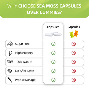 HEALOADING Sea Moss Capsules：Wildcrafted Organic Irish Seamoss & Bladderwack - Rich in Minerals, Supports Thyroid Health, Digestion, Skin & Immune System - Vegan, Non-GMO HEALOADINGBuy Supplements Australia
