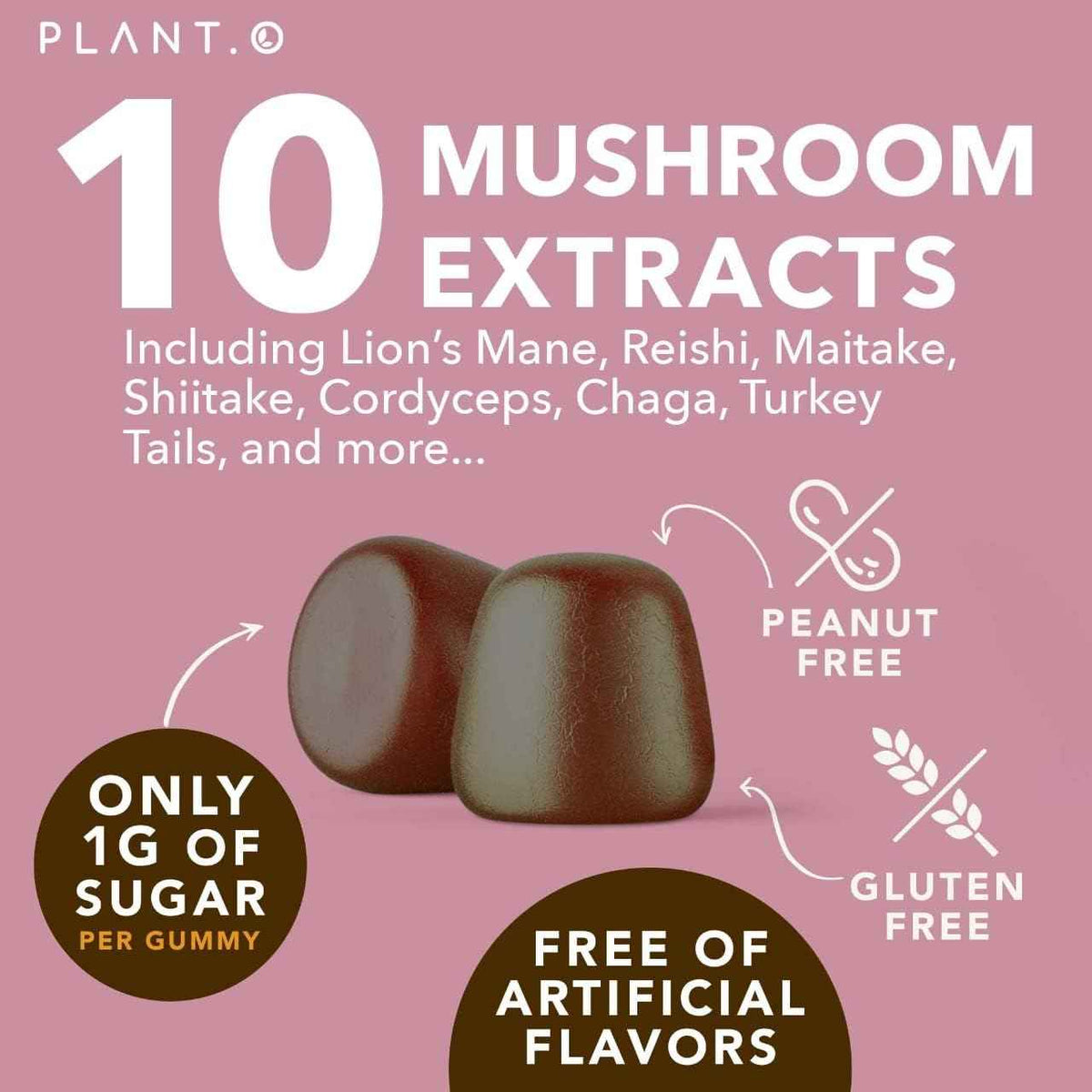 Mushroom Gummies Premium Supplement [10 Mushroom Complex Extract] Delicious & Fast Acting Lion’s Mane, Reishi, Shiitake Nootropic Brain Support, Immune Support, Mood & Relaxation, 60 Chews