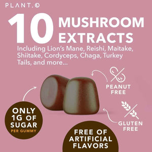 Mushroom Gummies Premium Supplement [10 Mushroom Complex Extract] Delicious & Fast Acting Lion’s Mane, Reishi, Shiitake Nootropic Brain Support, Immune Support, Mood & Relaxation, 60 Chews