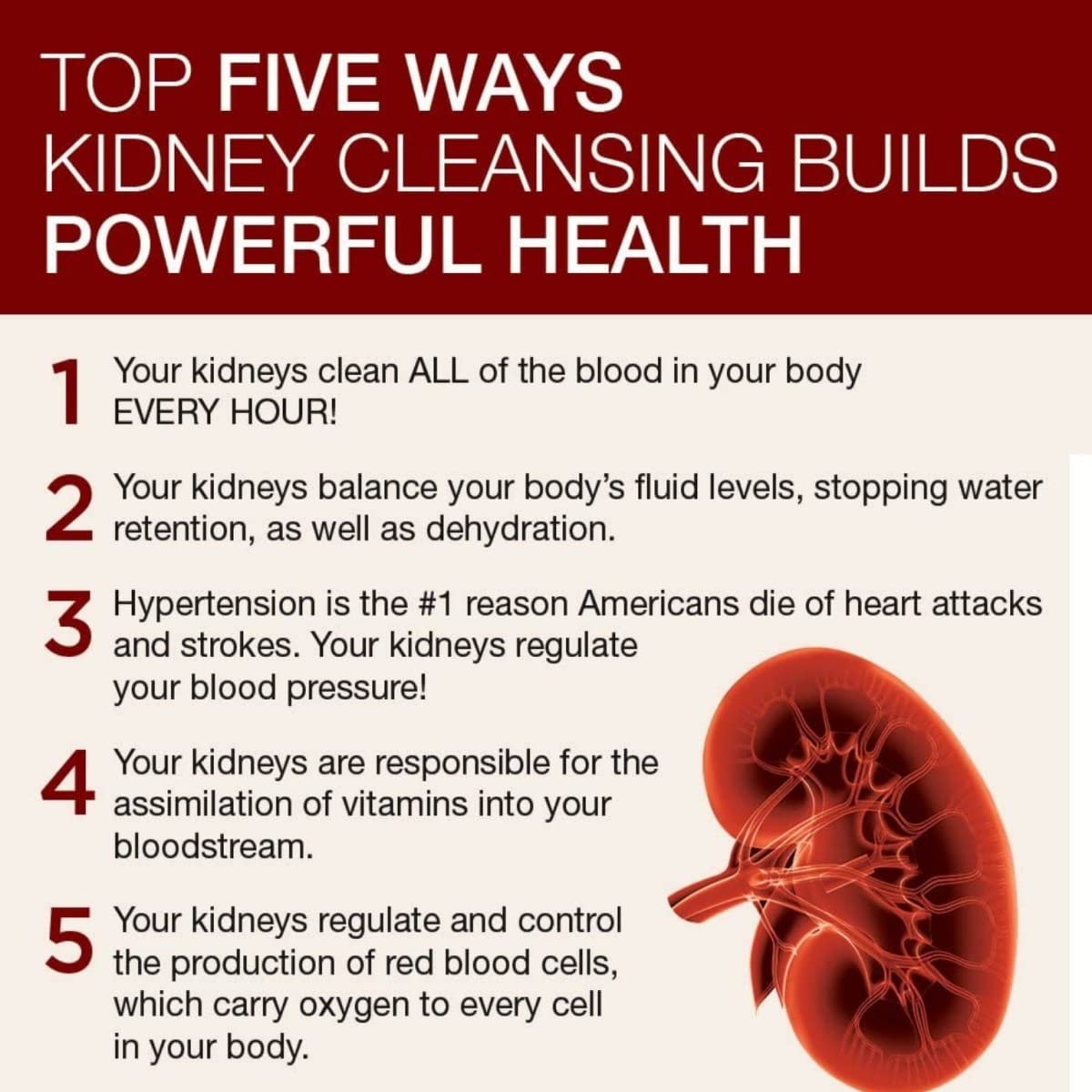 Dr. Schulze's 5 Day Kidney