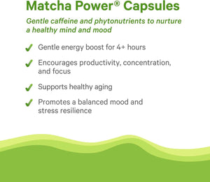 PURE SYNERGY Matcha Power - Organic Matcha Green Tea Capsules - Ceremonial Grade Supplement with EGCG - for Enhanced Energy & Alertness (90 Capsules)