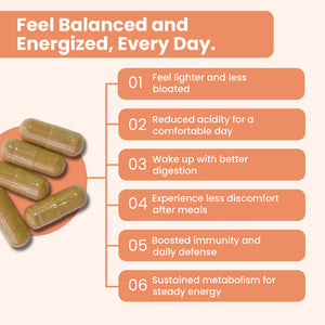 iMeMyself WellGut Daily Herbal Supplement | Traditional Herbs with Minerals & Probiotics 90 Vegan Capsules iMeMyselfBuy Supplements Australia