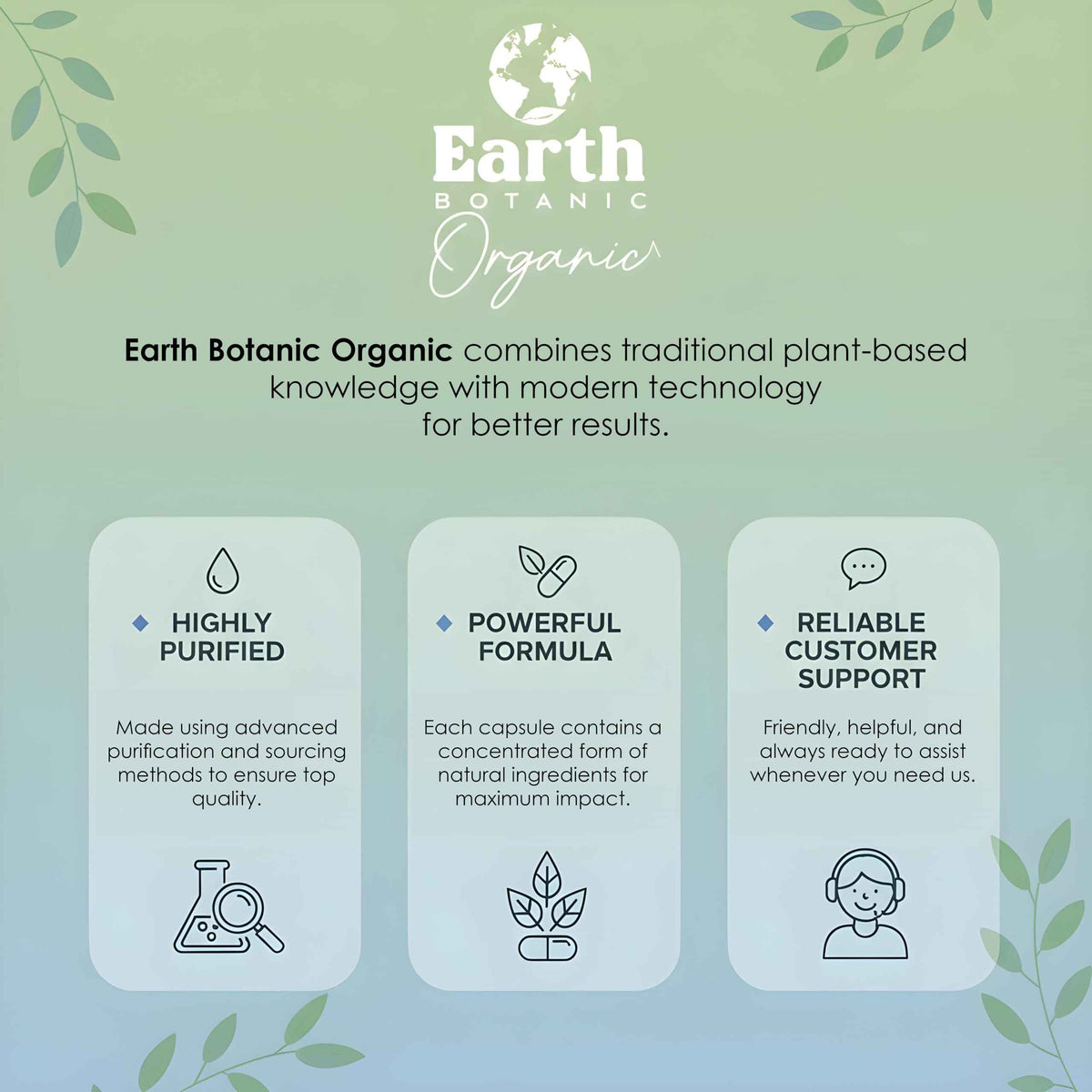Earth BOTANIC Organic Apricot Extract, 1000 mg 120 Veggie Capsules (Vegan, Non-GMO) Herbal Supplements Earth BOTANIC OrganicBuy Supplements Australia