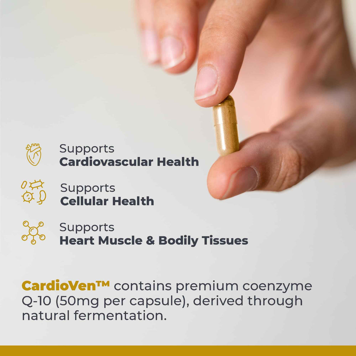 Premier Research Labs CardioVen - CoQ10, Coenzyme Q10, Co Q 10 Supplement 50mg, Ubiquinol with Chlorella, Tocotrienol & Cayenne Pepper for Heart Health, Antioxidant Support - 60 Vegetarian Capsules