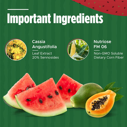 Iaso Instant Tea Watermelon Flavor - 4 grams (25 Sachets)