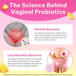 Onznoz Feminine Balance Gummies for Women, Vaginal Probiotics with Prebiotics & Lactobacillus Probiotic Blend, Supports pH Balance & Immune Health, Womens Probiotic Slippery Elm