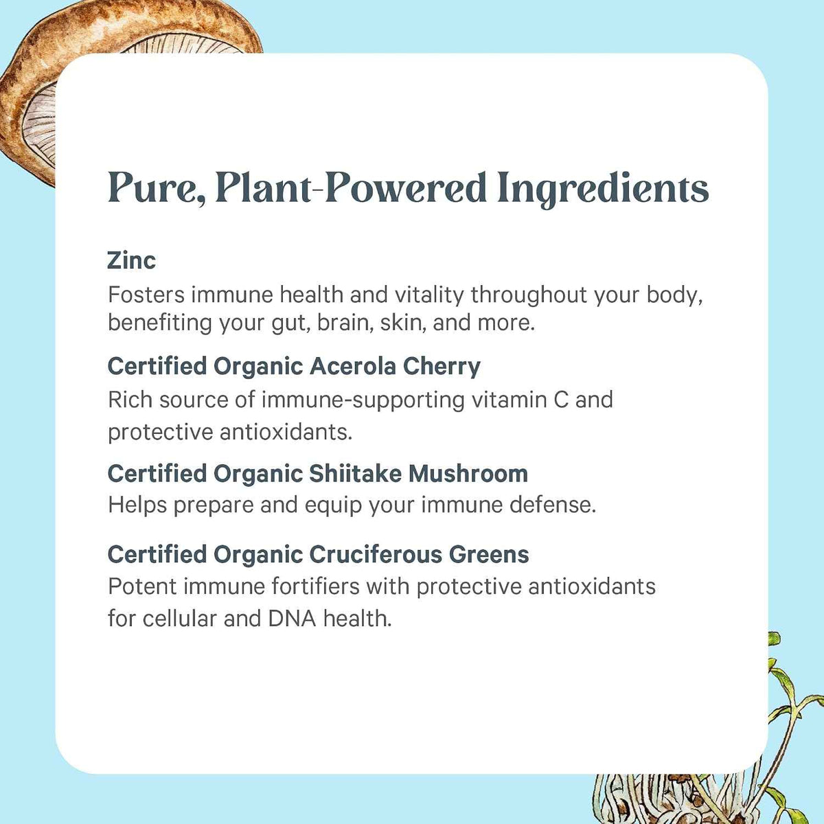 PURE SYNERGY Zinc Complex - Immune Support Supplement - Natural, Vegan Zinc Complex with Vitamin C and Organic Whole Foods - for Immune, Brain, and Skin Health (60 Capsules)