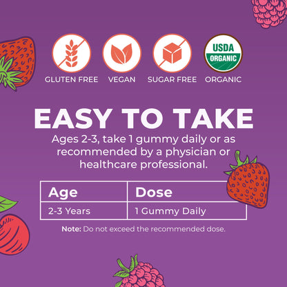 MaryRuth's Toddler Multivitamin Gummies - USDA Organic - 2 Month Supply - Kid & Toddlers Age 2+ Daily Multivitamin: Vitamin C, D3, Zinc - Kids Vitamins - Only 1 Gummy Per Day - 60 Ct (60 Day Supply)