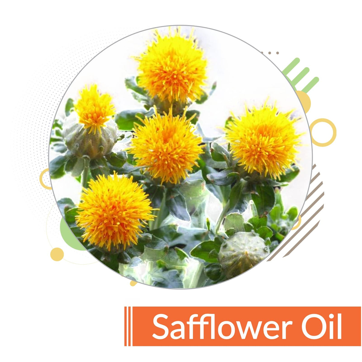 Crysalis Safflower (Carthamus Tinctorius) Oil - 0.51 Fl Oz (15ml)