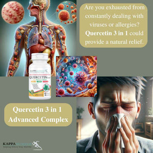 QUERCETIN PLUS, Quercetin 1,000mg, Bromelain 500mg and Vitamin C 1,000mg, (120 Capsules), 3 in 1 from Bioflavonoids, Supports Immune, Cardiovascular & Respiratory Health, Seasonal Allergy Relief.