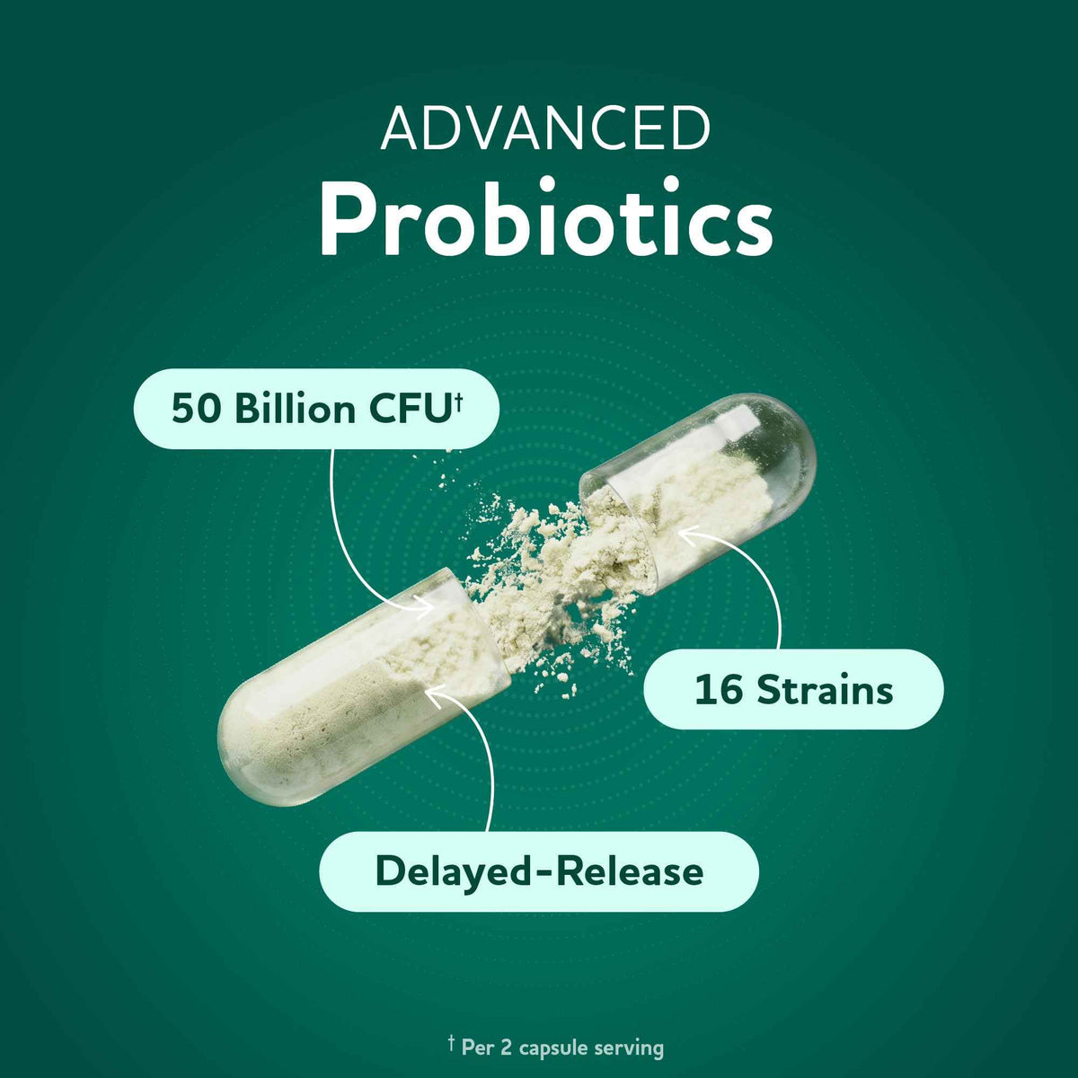 Prebiotics and Probiotics - 50 Billion CFU, 16 Probiotic Strains & Inulin Prebiotic Fiber - Delayed Release Capsules - Gut Health Support - Prebiotics and Probiotics for Women & Men - Non-GMO - 60 Ct