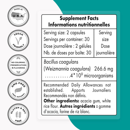 Supersmart - Bacillus Coagulans Probiotic 4 Billion CFU per Day (High Absorption)